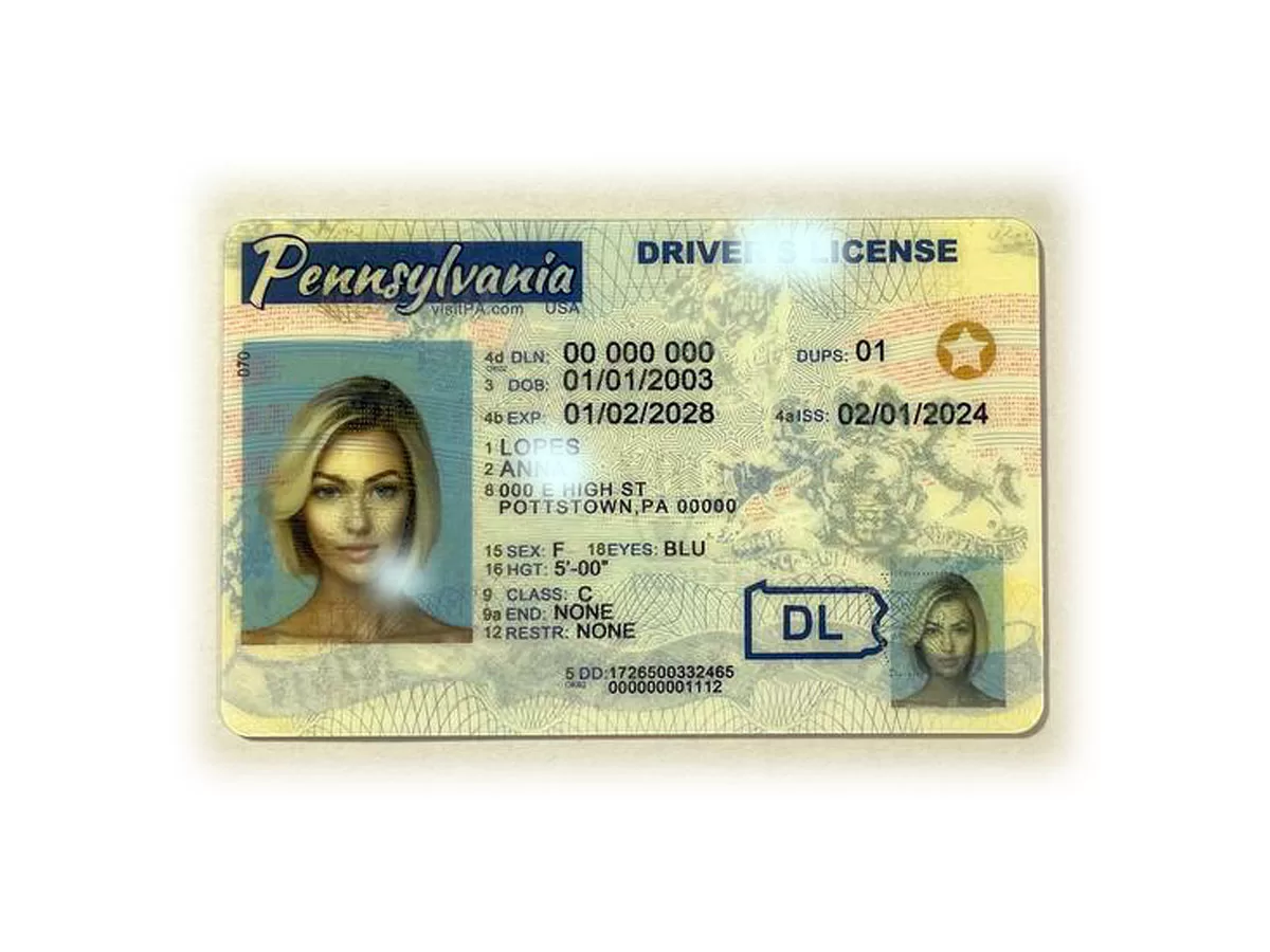 Pennsylvania ID - The best scannable novelty ID online - IDBus