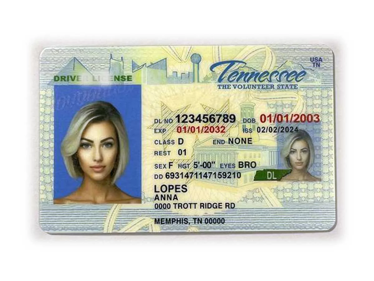 tennessee driver's license id cards